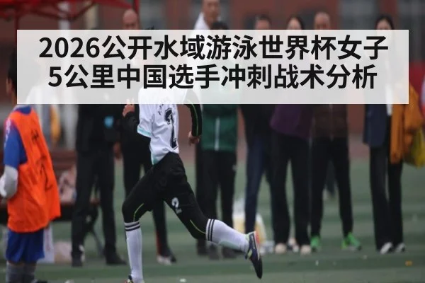 2026公开水域游泳世界杯女子5公里中国选手冲刺战术分析