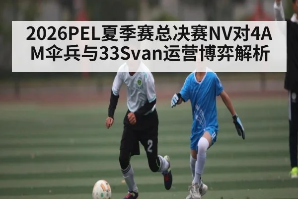 2026PEL夏季赛总决赛NV对4AM伞兵与33Svan运营博弈解析
