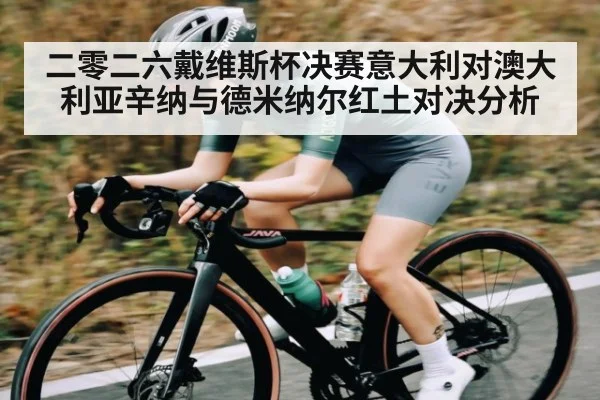 二零二六戴维斯杯决赛意大利对澳大利亚辛纳与德米纳尔红土对决分析